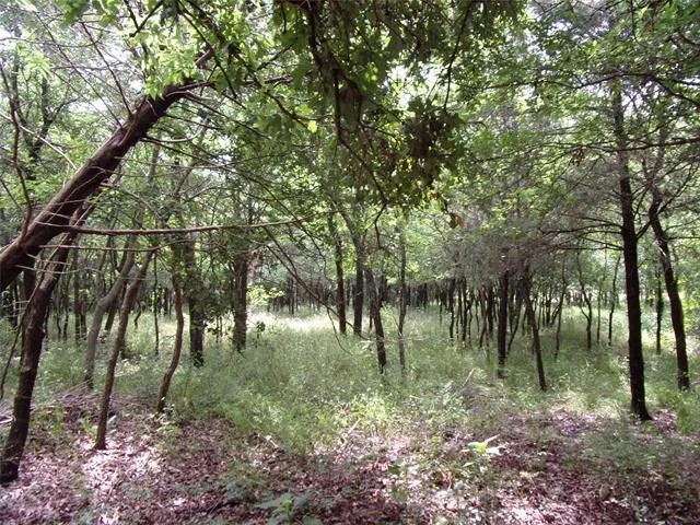 Photo of 4188 Willow Oak Bend