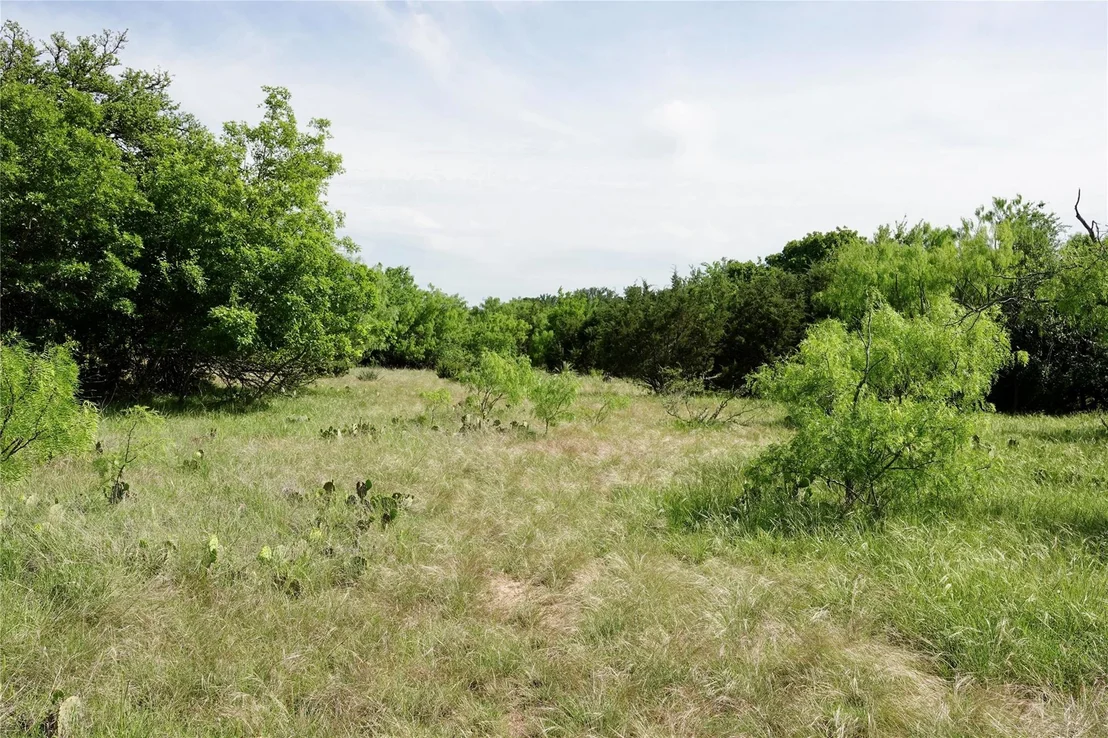 Photo of 981 W Hwy 84