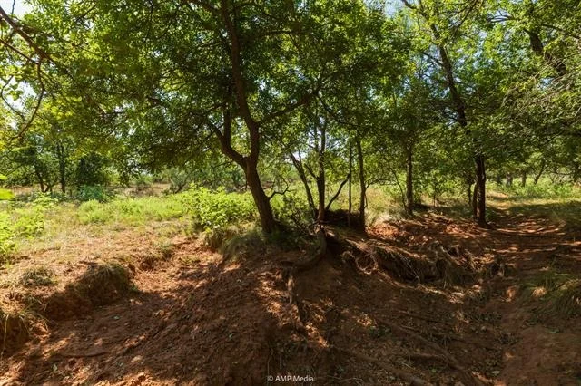 Photo of 1363 County Road 441