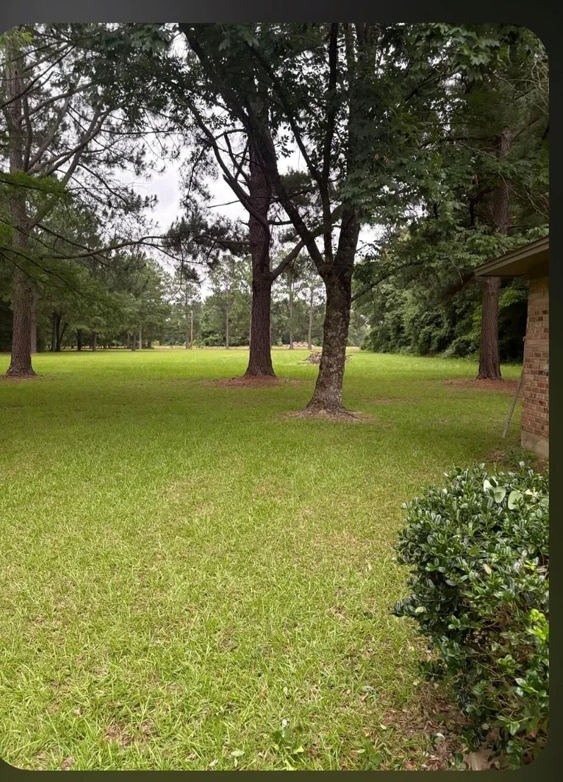Photo of 741 VZ County Road 4134