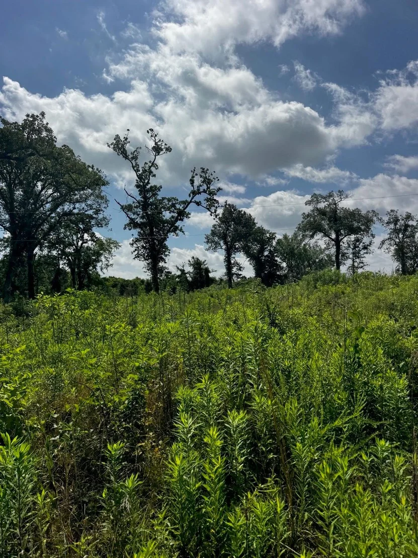 Photo of 5200 County Road 45080