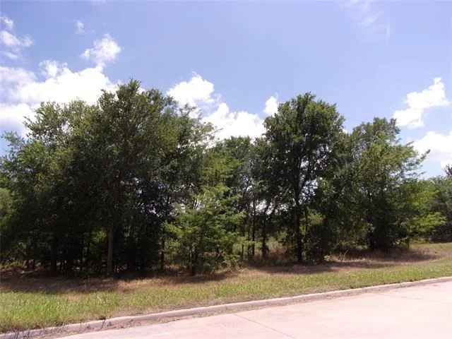 Photo of 4172 Willow Oak Bend