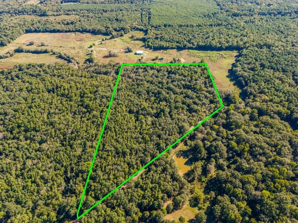Photo of TBD County Road 3324, 24 Ac