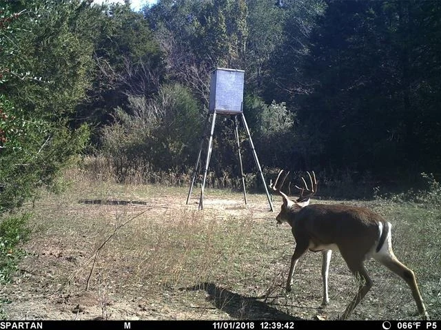 Photo of 8690 County Road 1119