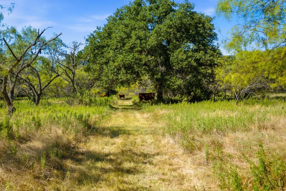 Photo of 3100 County Road 153