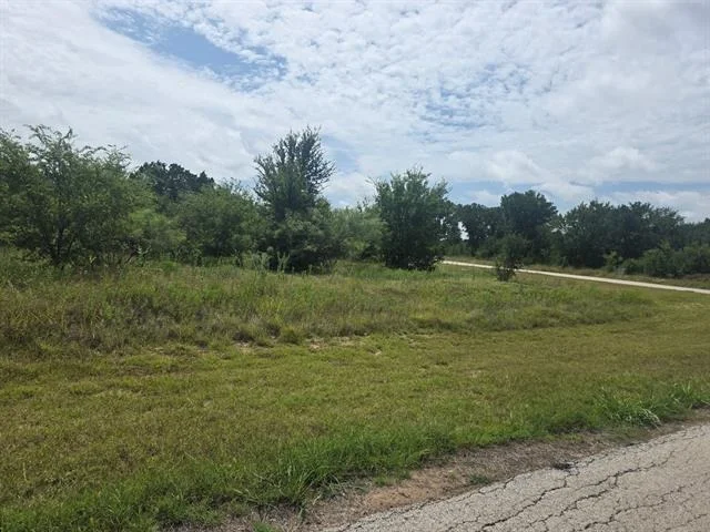 Photo of 100 Turtle Dove Lane
