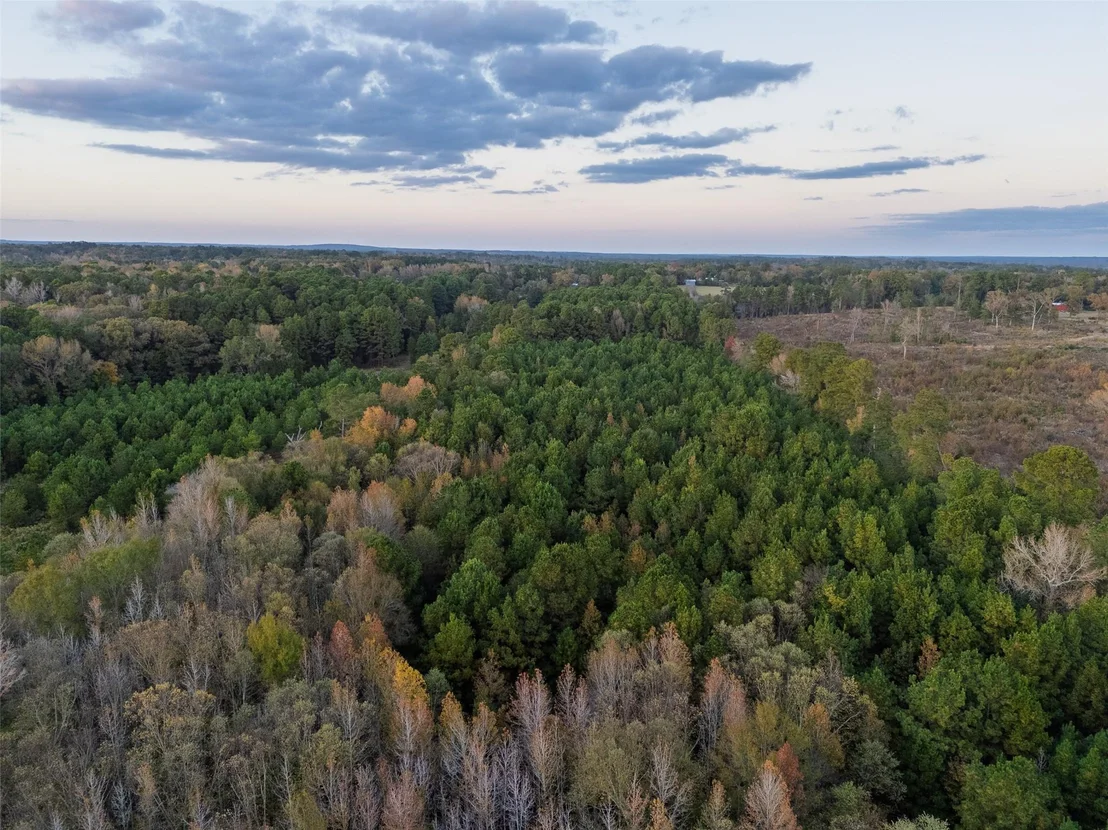Photo of 640 County Road 4910
