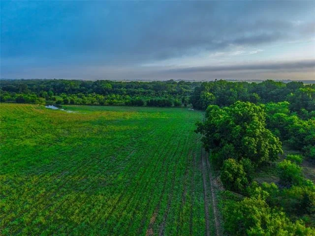 Photo of 524 County Road 453