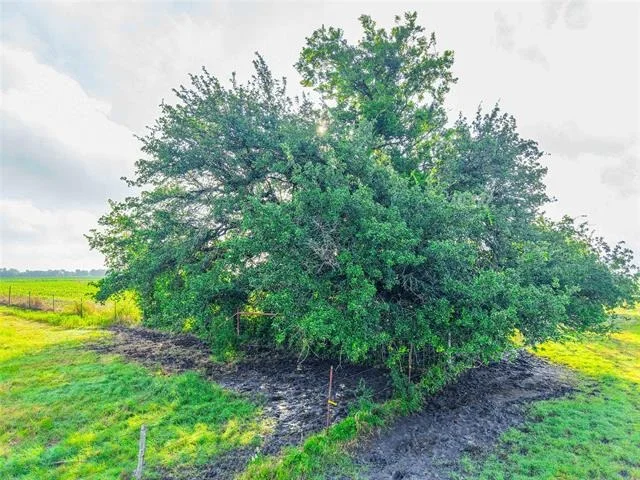 Photo of 22407 Meeks Road