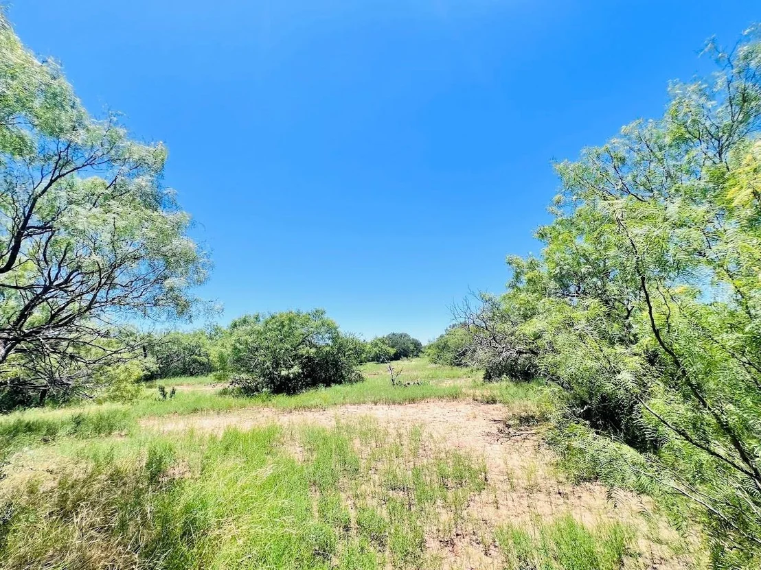 Photo of 1349 County Road 152