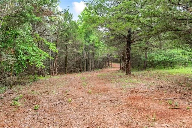 Photo of Unit TRACT1 at 16092 County Road 440