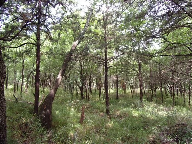 Photo of 4188 Willow Oak Bend