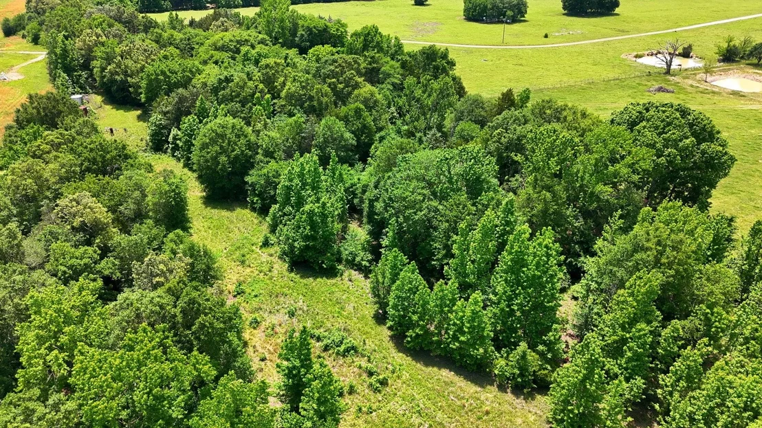 Photo of 368 County Road 4960