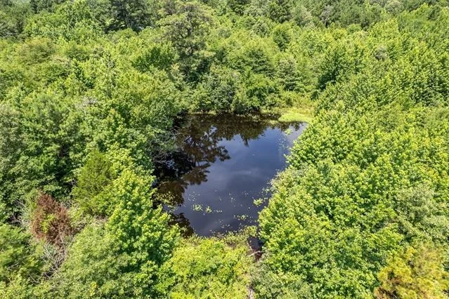 Photo of 15688 US Highway 271
