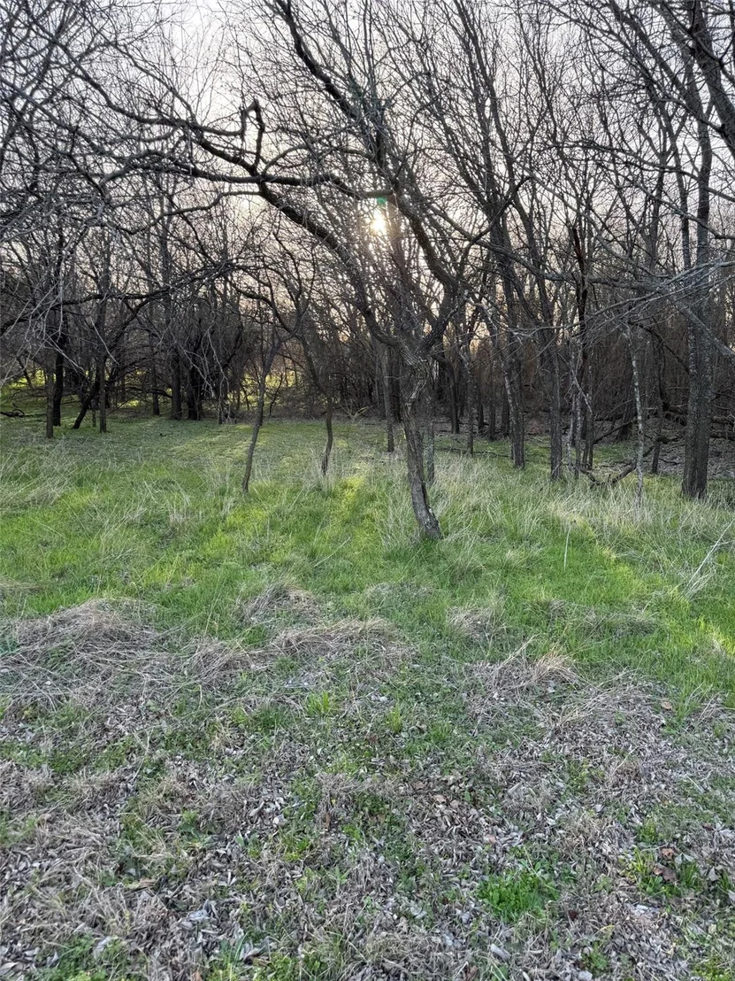 Photo of 12147 Trailwood Drive