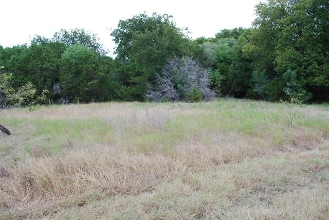 Photo of 13005 Crestwood Drive