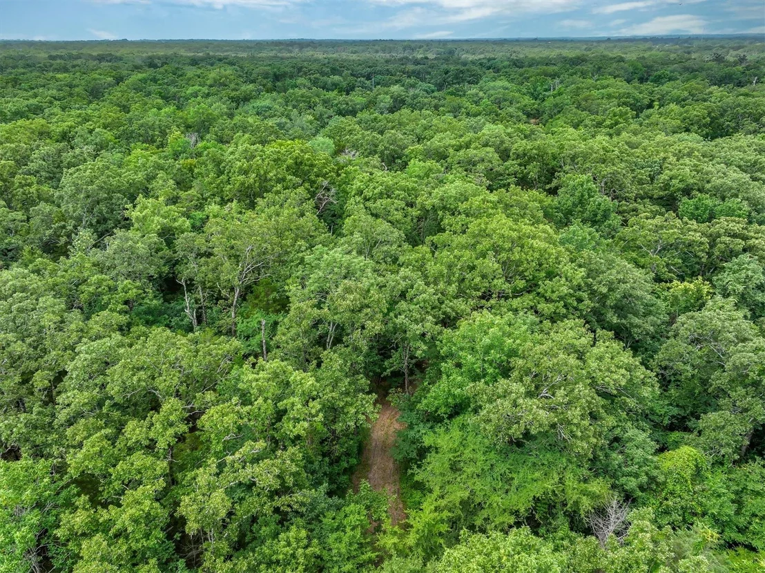 Photo of 950 VZ County Road 1919