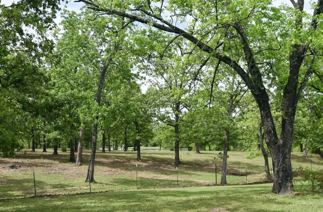 Photo of 599 County Road 1260