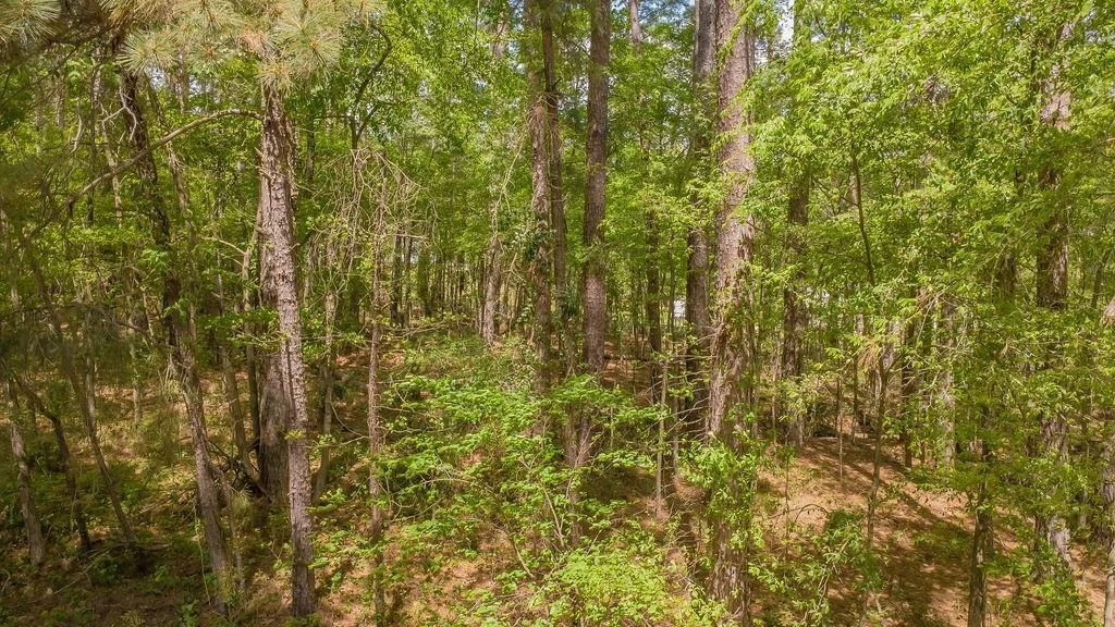 Photo of 1723 Pineview Lane