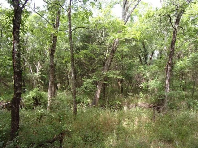 Photo of 4188 Willow Oak Bend