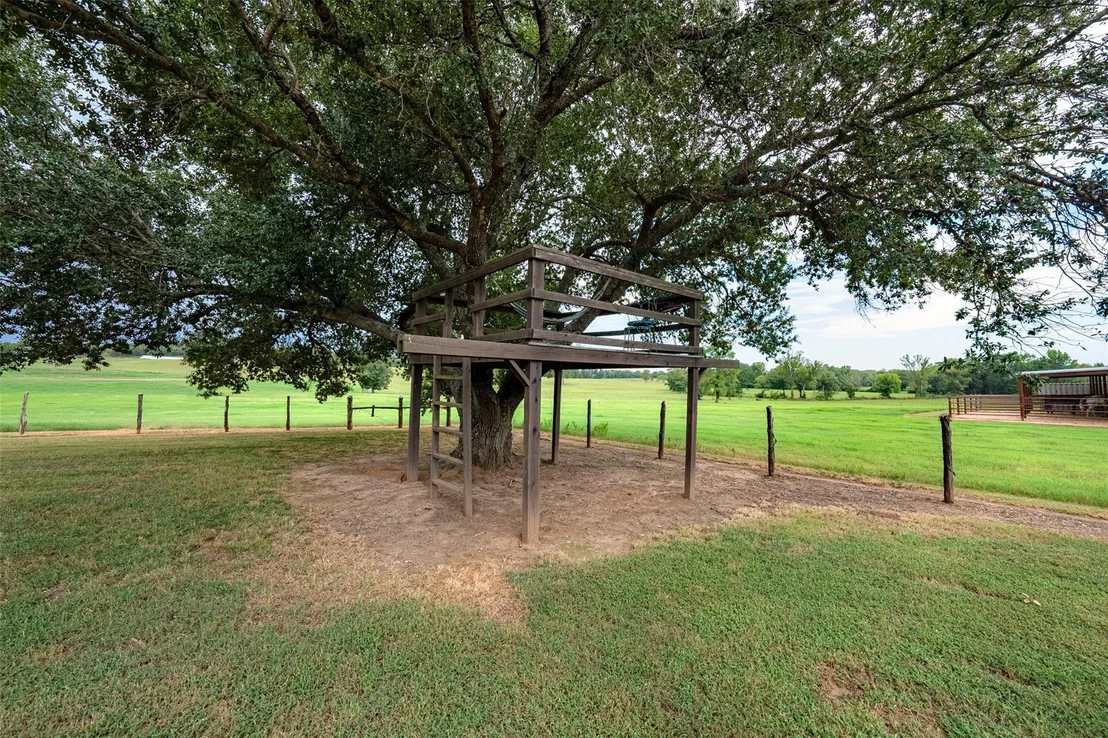Photo of 3219 County Road 1508