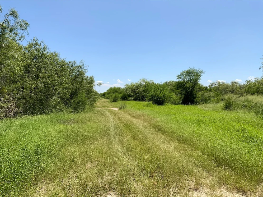 Photo of 14135 County Road 1144