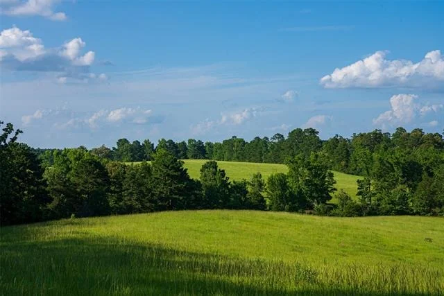 Photo of 2030 County Road 1640