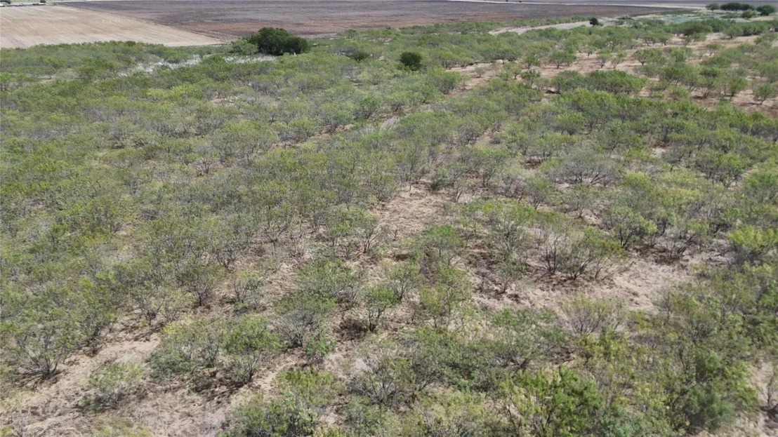 Photo of TBD County Road 3230