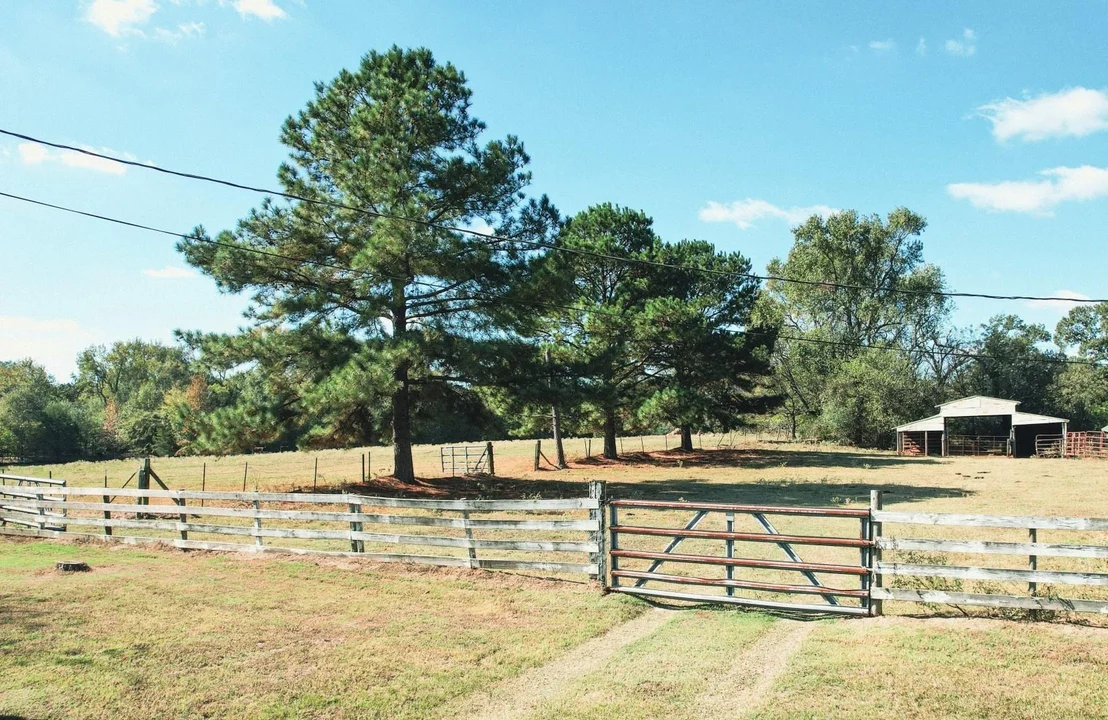 Photo of 1191 County Road 4186