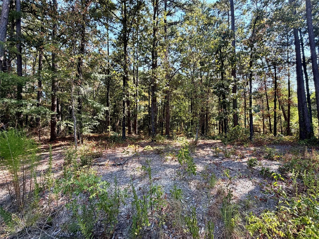 Photo of 18084 Deer Trail