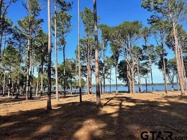 Photo of Lot 111 Oak River