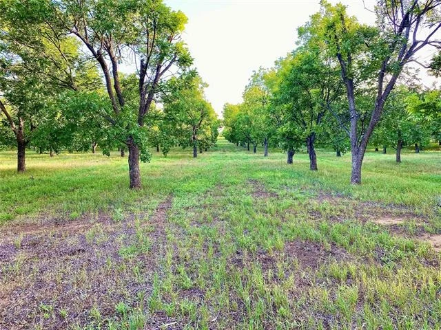 Photo of 751 County Road 424