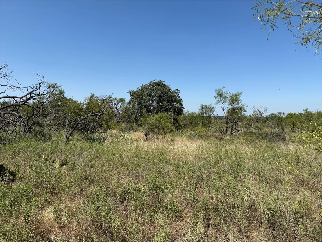 Photo of 501 County Road 376
