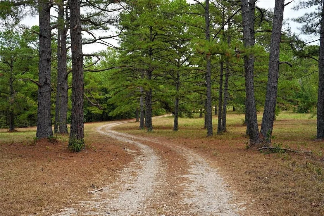 Photo of 448 County Road 3955