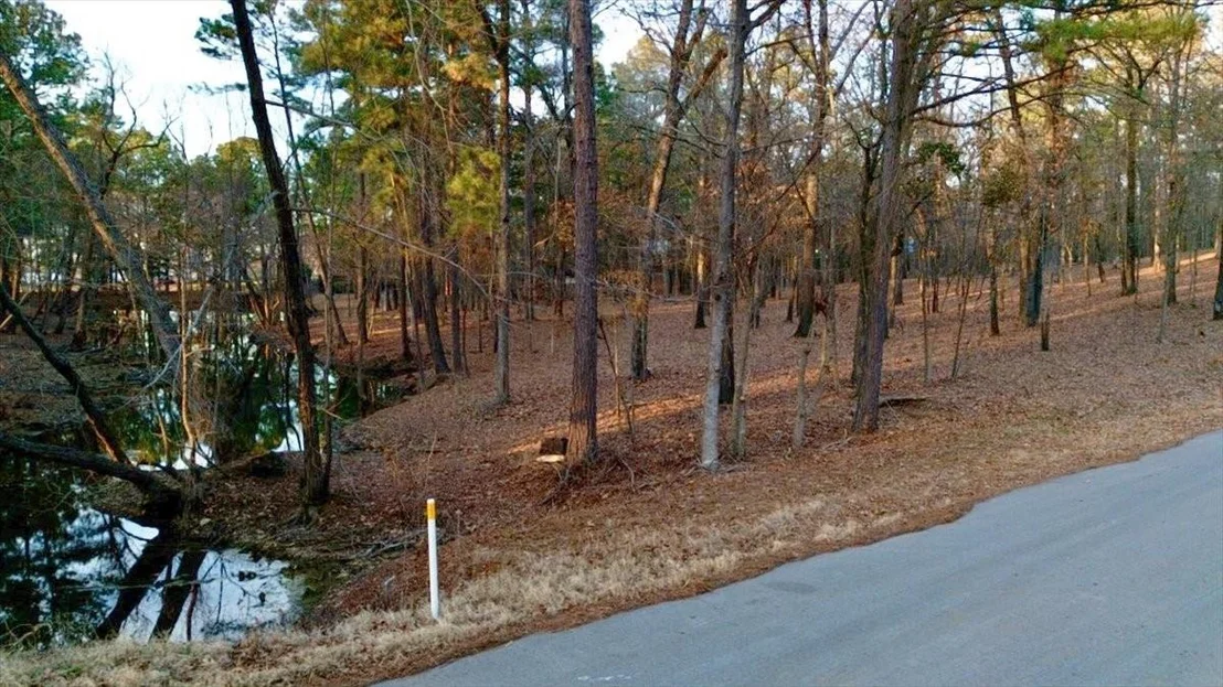 Photo of Unit 11D at TBD Hickory Trail