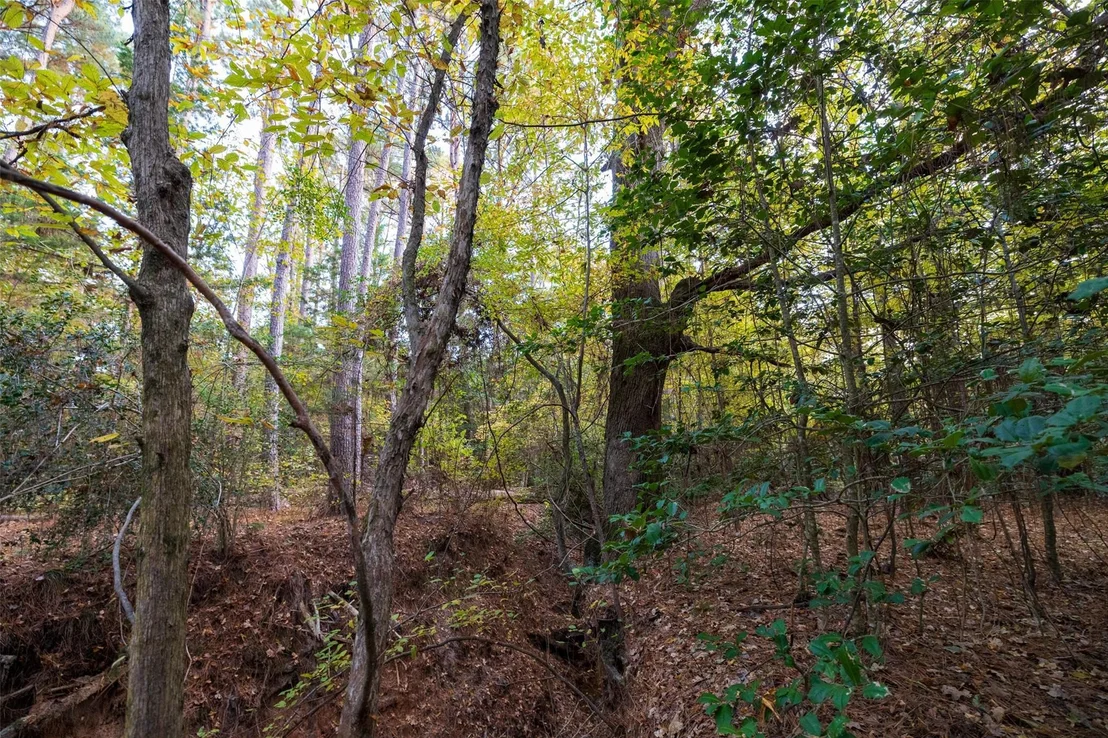 Photo of 640 County Road 4910
