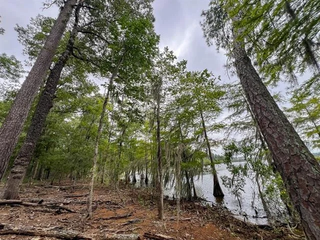 Photo of T-2 Arledge Trail/Off Gateway Meadows