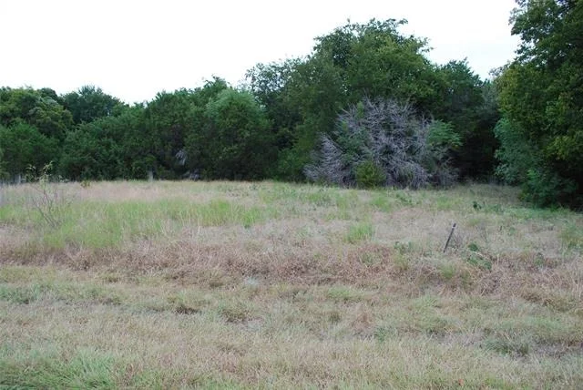 Photo of 13005 Crestwood Drive