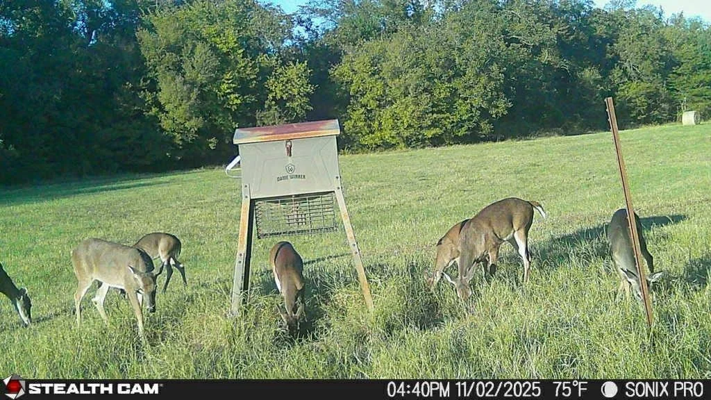 Photo of 684 County Road 473
