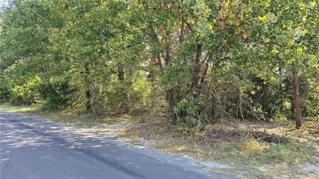 Photo of 175 County Road 2267
