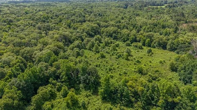 Photo of 2280 County Road 129