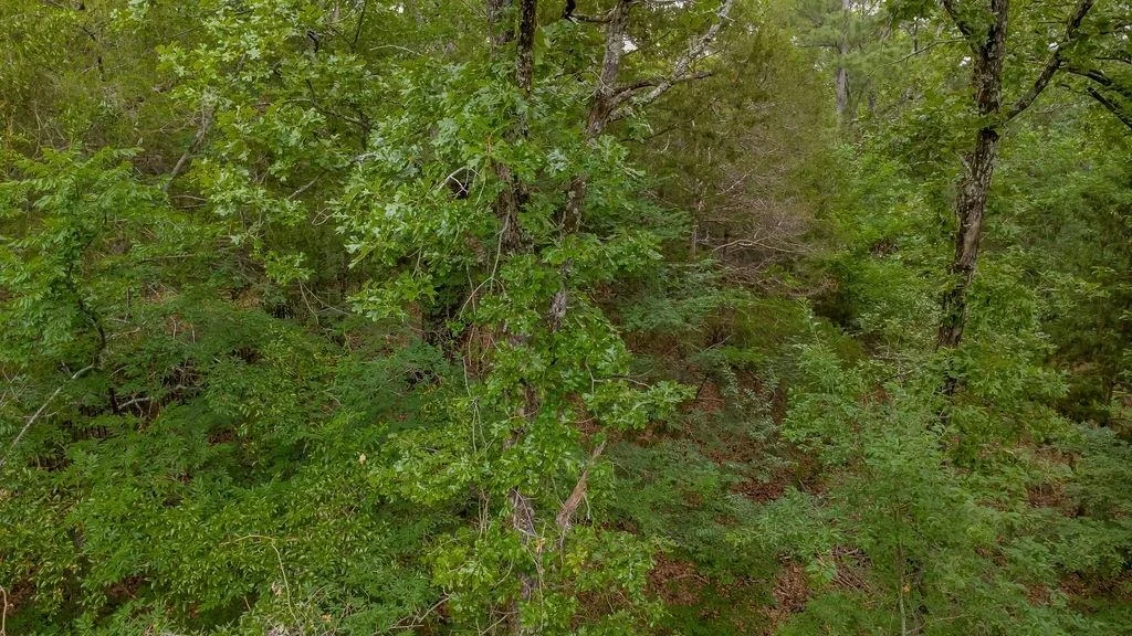 Photo of 1714 Pineview Lane