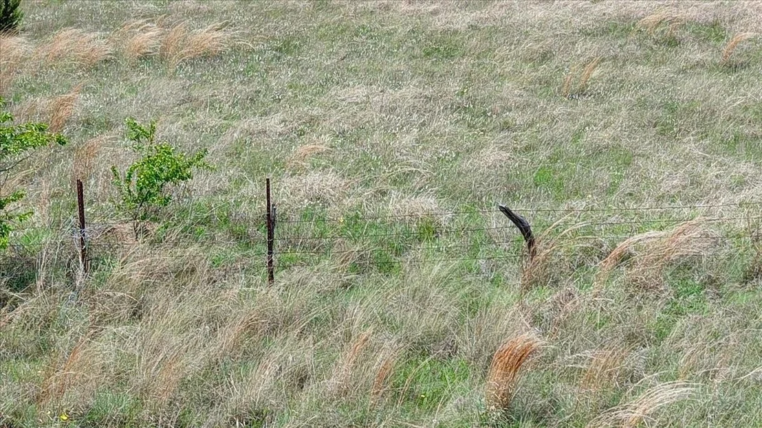 Photo of 895 County Road 502