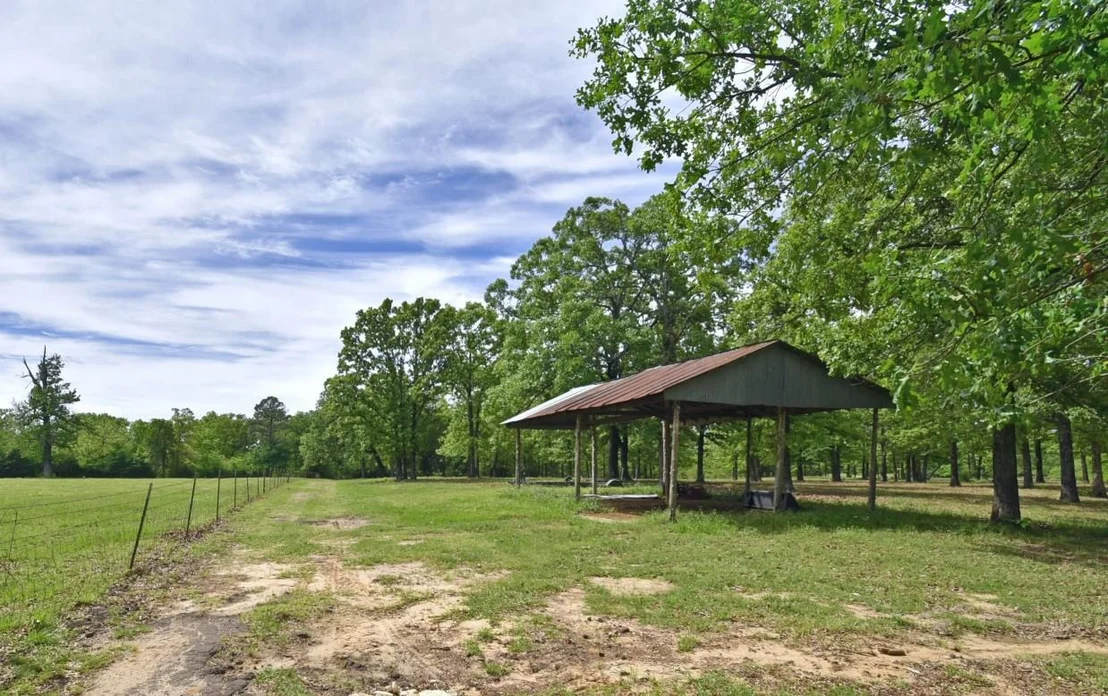 Photo of 599 County Road 1260