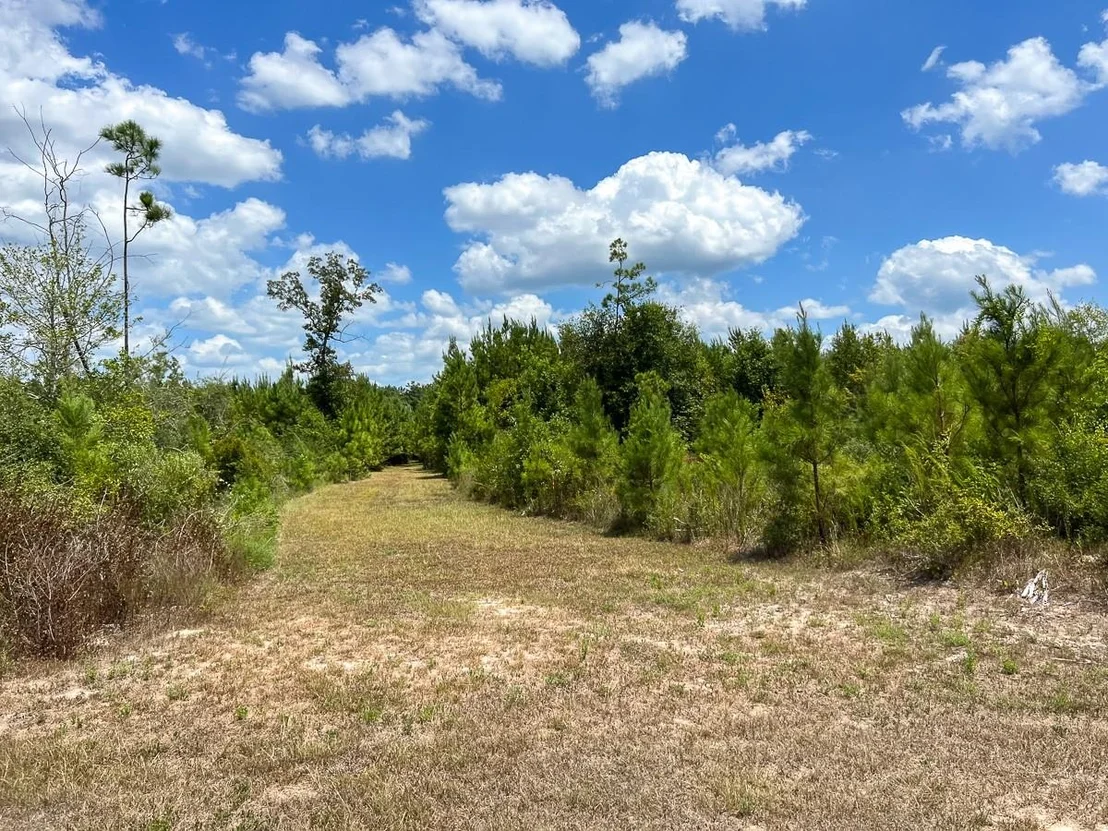 Photo of 0 US 69