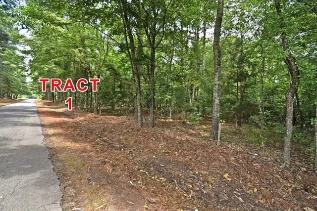 Photo of Tract 1 County Road 3117