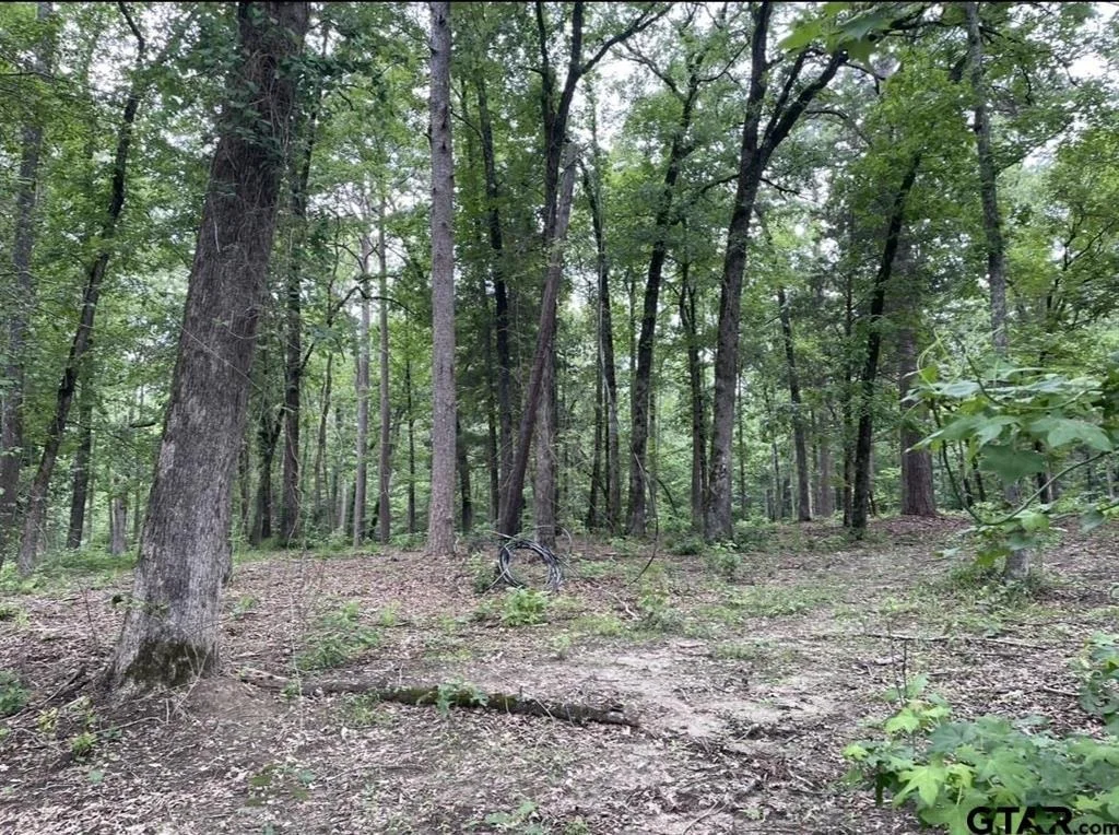 Photo of 1688 County Road 1597