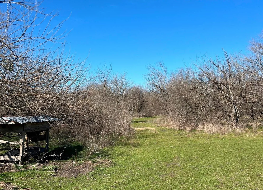 Photo of 9595 County Road 262