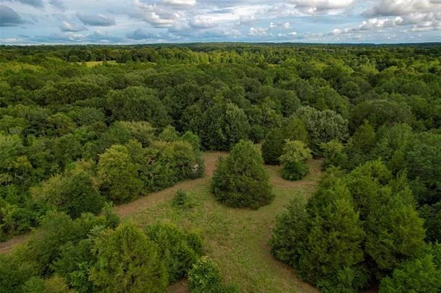Photo of 8690 County Road 1119