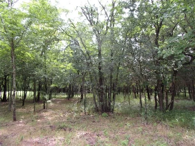 Photo of 4188 Willow Oak Bend